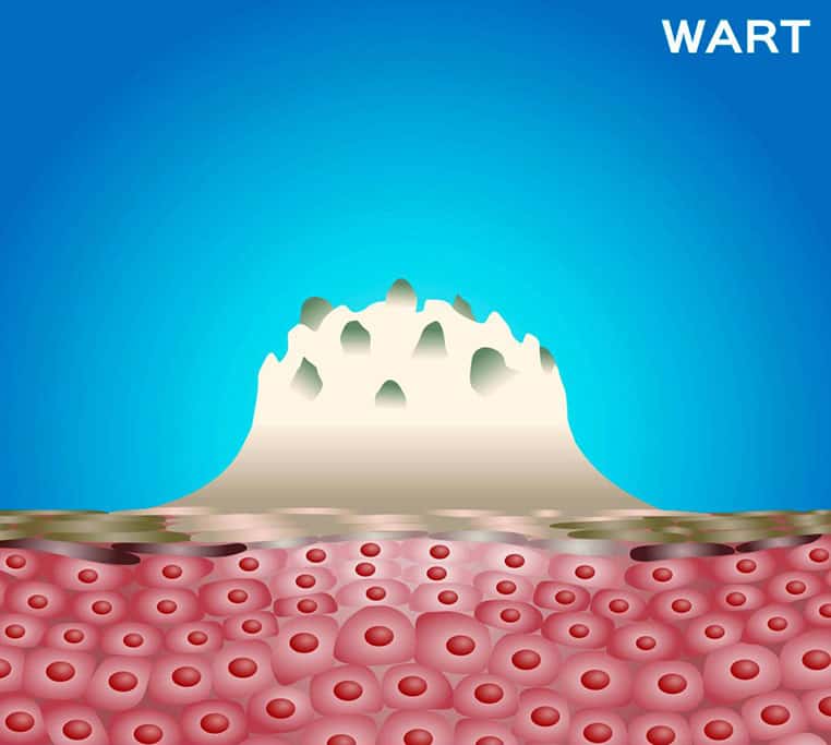 derma competence center