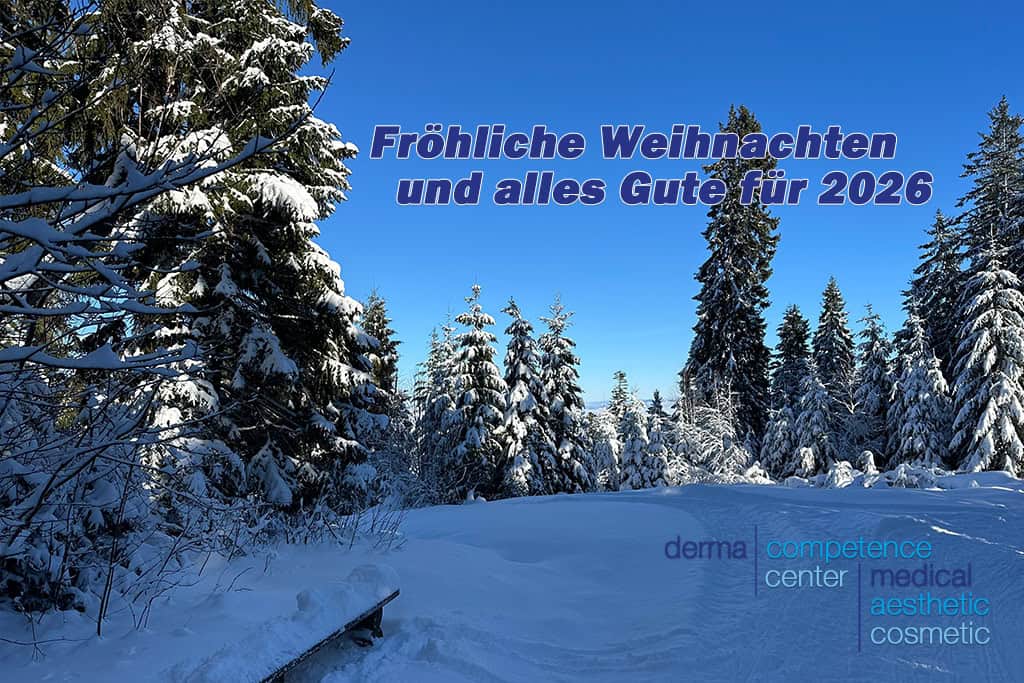 Fröhliche Weihnachten und alles Gute fürs Jahr 2026